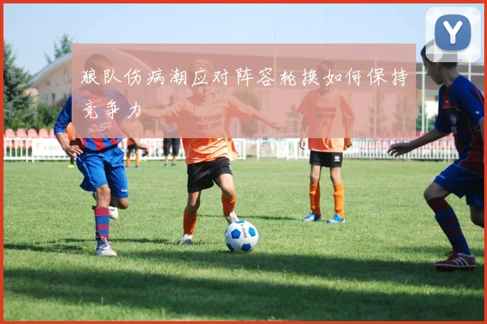 狼队伤病潮应对阵容轮换如何保持竞争力