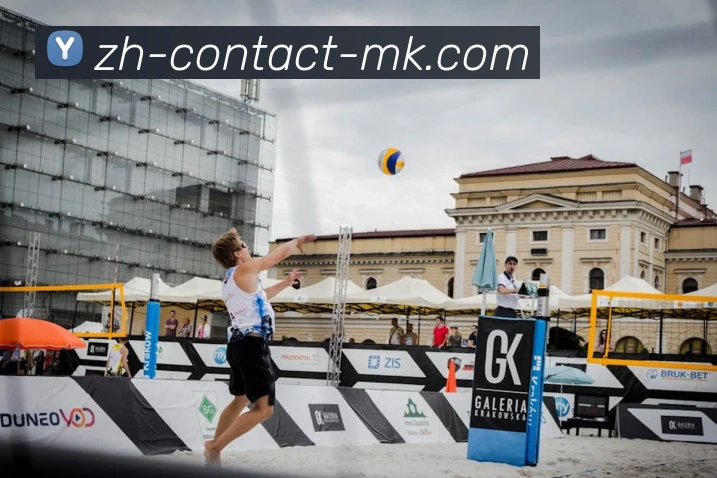 MK体育服务体系